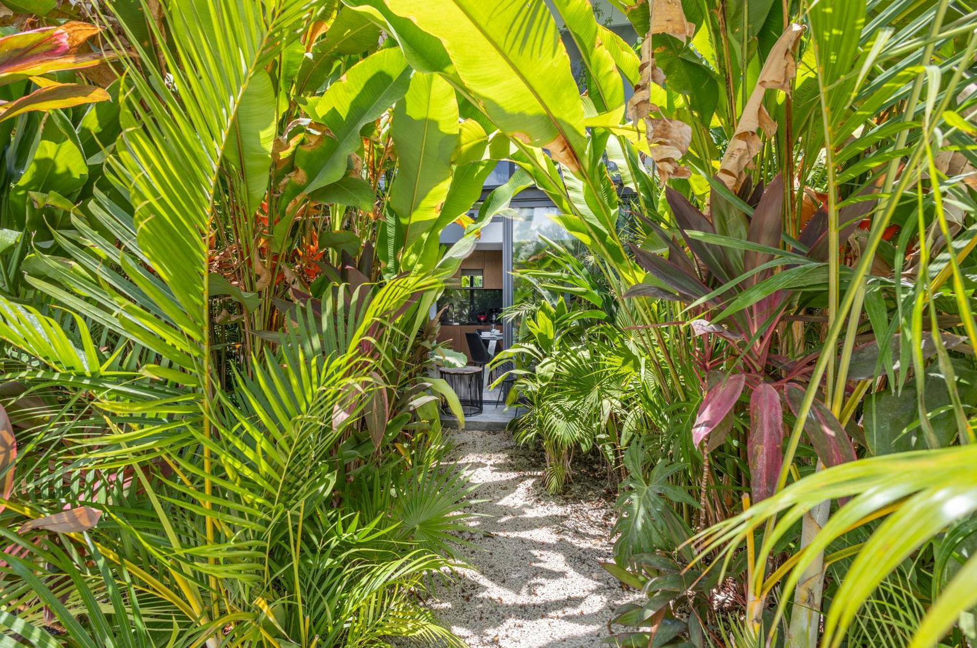 Mistiq Gardens Apartman Tulum Szoba fotó